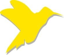 yellow bird on a black background as a picture for clipart