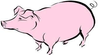 big Pig Clip Art drawing