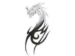 Tattoo, Sketch of Dragon Head