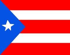 Puerto Rico Flag N25