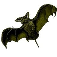 Bat Clip Art N40