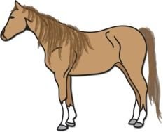 Beautiful drawing of the brown horse clipart