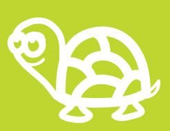 Baby Nursery Turtle Print drawing