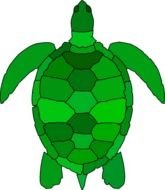 Turtle Clip Art N112