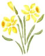 Daffodil Stencil