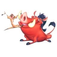 Timon And Pumbaa Characters