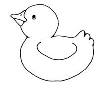 small Baby Duck drawing