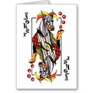 Joker Card N7