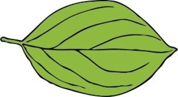 Oval Leaf 2 By Johnny Automatic The Principles Of Design G