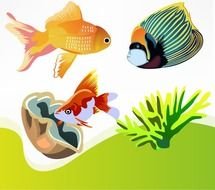 Free Vector Fish N2
