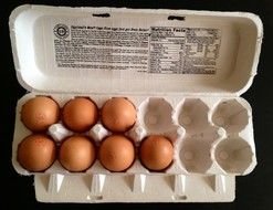 eggs in a cardboard tray as a picture for clipart