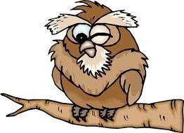 brown Cartoon Owl drawing