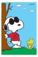 Joe Cool Snoopy N9