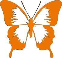 Butterfly Clip Art N198