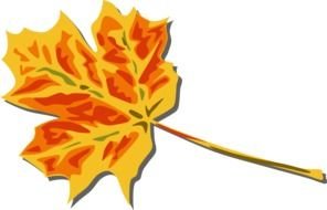 drawn fall leave