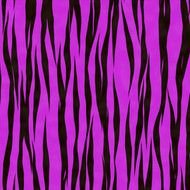 purple black zebra print