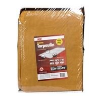 Canvas Tarp