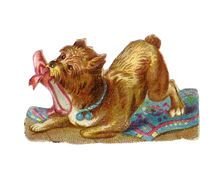 Dog With A Shoe Clip Art Free drawing