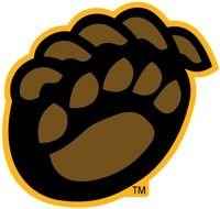 Baylor Bears Logo N4