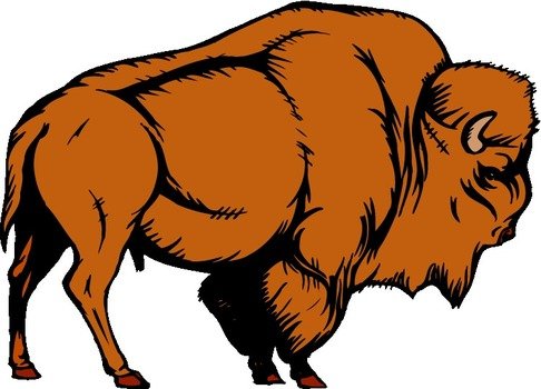 Buffalo Clip Art N29