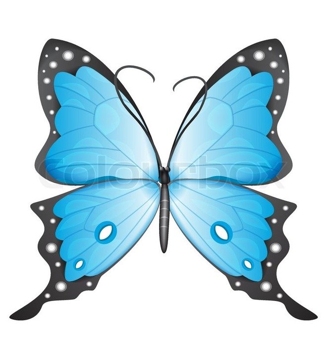 Blue Cartoon Butterflies
