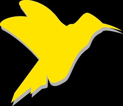 yellow bird on a black background as a picture for clipart
