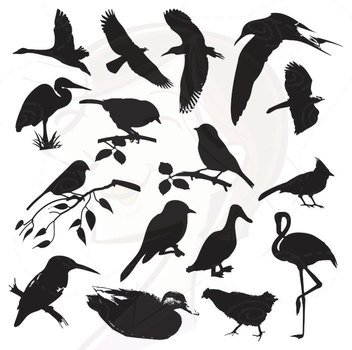 Bird Silhouette Clip Art N62