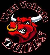 Bulls Logo N5