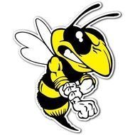 Angry Bees N2