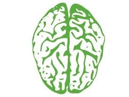 green Brain Clip Art drawing