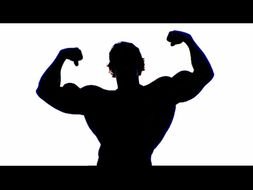 silhouette of Arnold Schwarzenegger