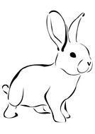 black and white picture of a little hare