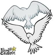 Dove Drawings N4