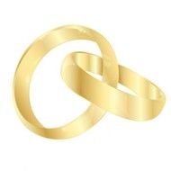 Wedding Ring Vector N7