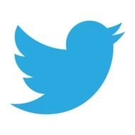 New Twitter Logo Vector