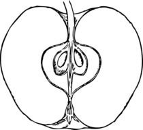 Cut Apple Clip Art Black And White