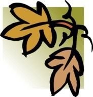 Colorful drawing with the fall leaves