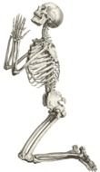 Praying Skeleton drawing