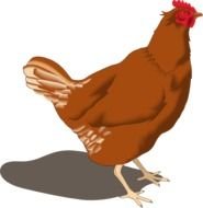 Hen Clip Art Free N2
