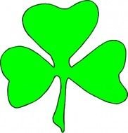 Shamrock Illustration