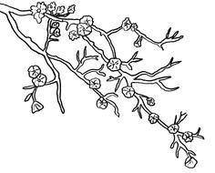 Cherry Coloring Page drawing