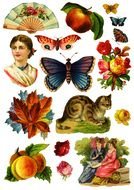 collage of colorful vintage drawings