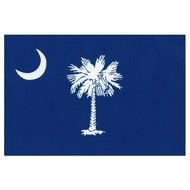 image of palm tree and half moon on South Carolina Flag