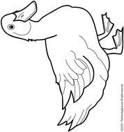 Mallard Duck Coloring Pages N2