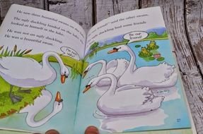 open book with a tale of swans
