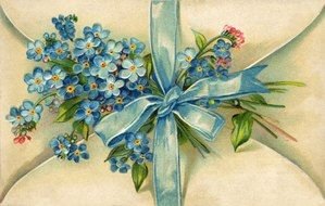 Forget Me Not flowers Postcards drawing