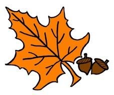 autumn leaf and two acorns as a picture for clipart