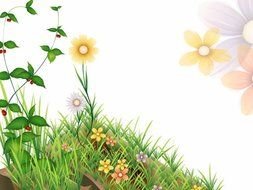 painted blooming spring meadow on a white background