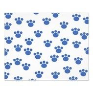 Animal Paw Print Pattern Blue And White Personalized Flyer