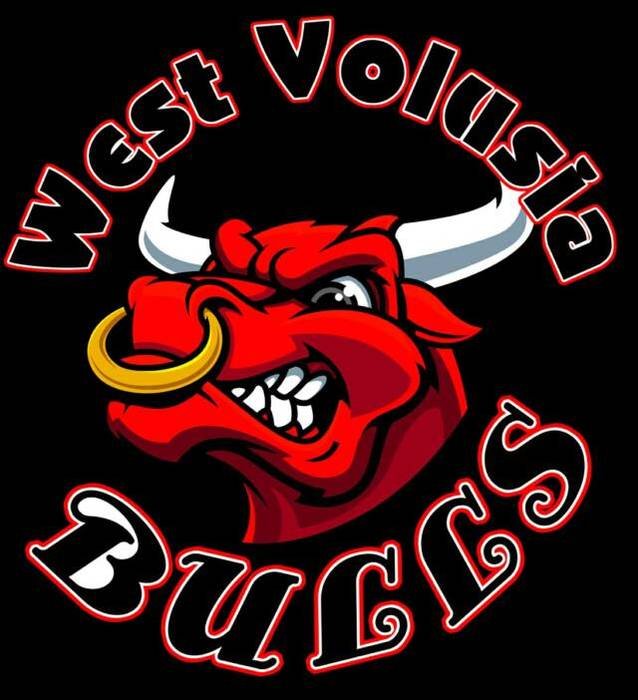 Bulls Logo N5